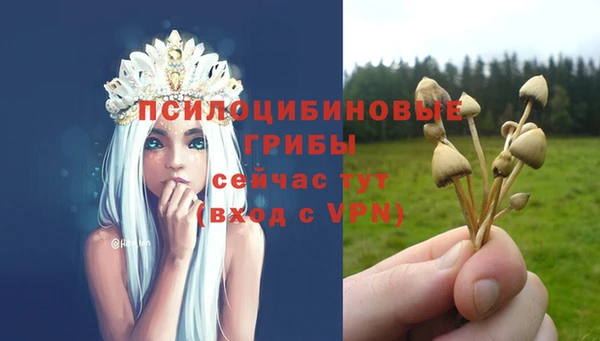 2c-b Покачи