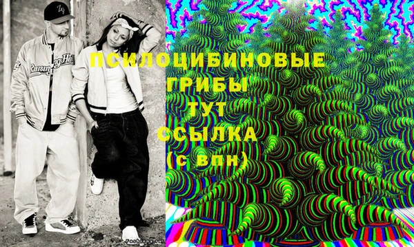 2c-b Покачи