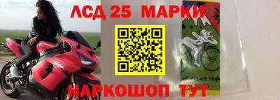 соль ск Бийск