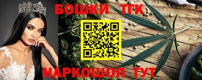 винт Дубна