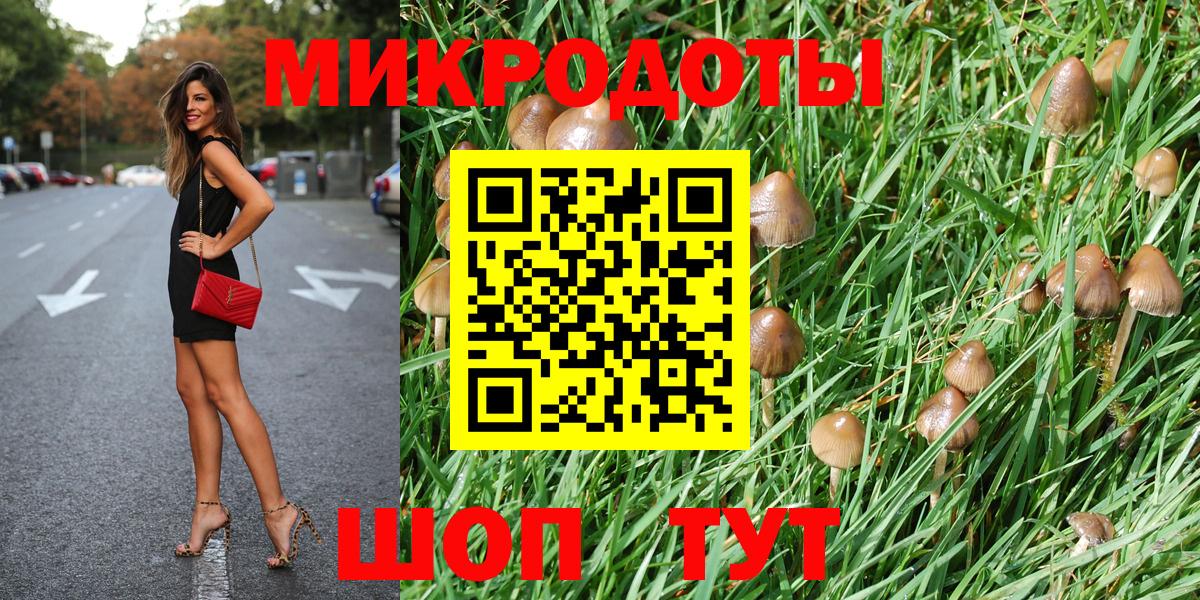 Псилоцибиновые грибы прущие грибы  Шуя  Галлюциногенные грибы Psilocybine cubensis 