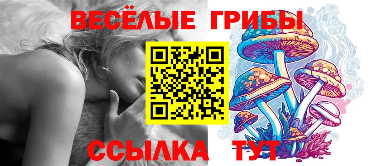 Псилоцибиновые грибы Psilocybe  Вход с VPN  Шуя  Галлюциногенные грибы MAGIC MUSHROOMS 